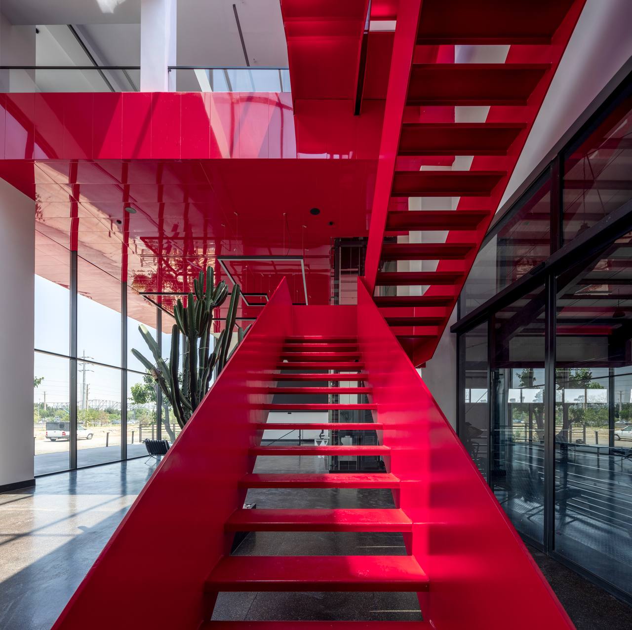 photo_41_2025-08-07_10-19-26